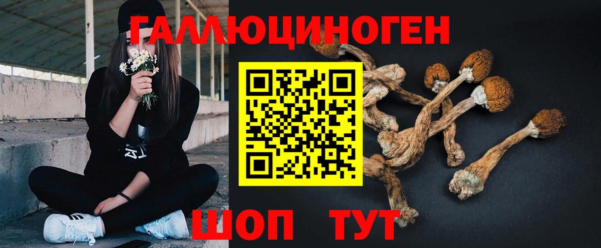 Костомукша  Псилоцибиновые грибы мицелий  Псилоцибиновые грибы Psilocybine cubensis  Вход с VPN 